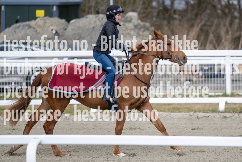 20230429-104429-DSC_9528