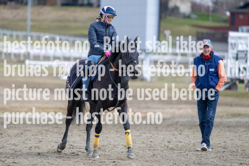 20230429-114802-DSC_0306