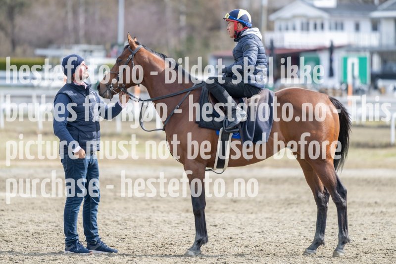 20230429-114941-DSC_0433