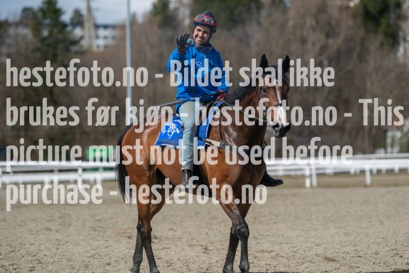 20230429-125930-DSC02506