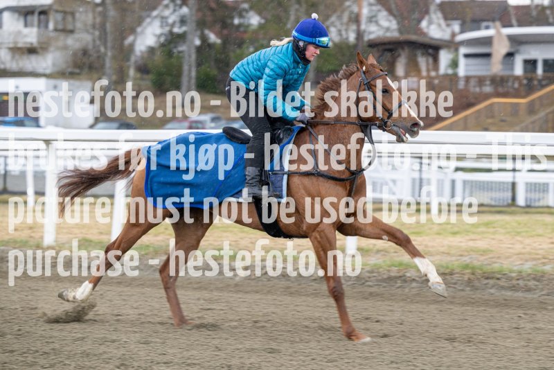 20230429-134518-DSC_1260