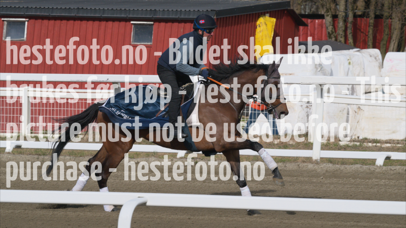 treningsdag-20230429_1.1.1