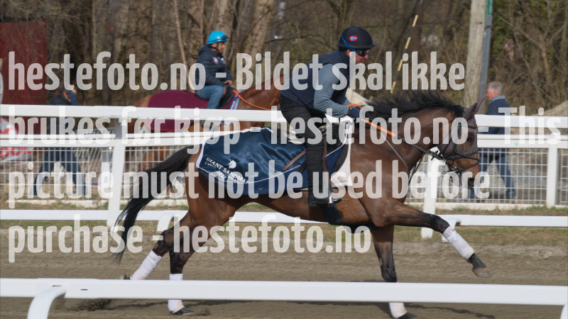 treningsdag-20230429_1.1.2