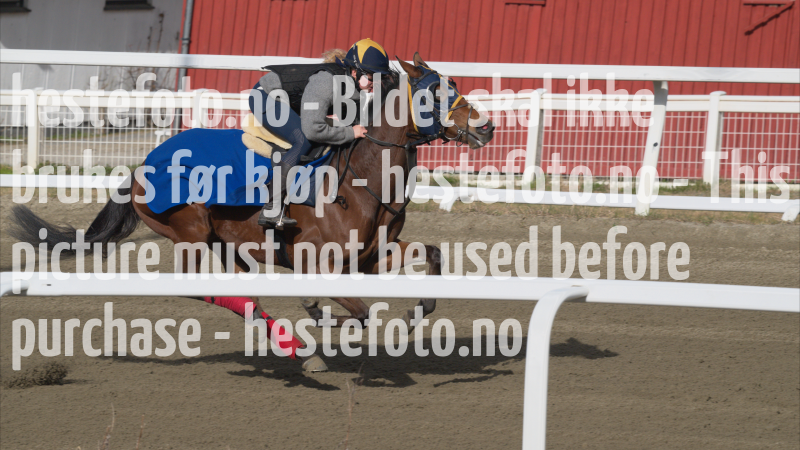 treningsdag-20230429_1.4.1
