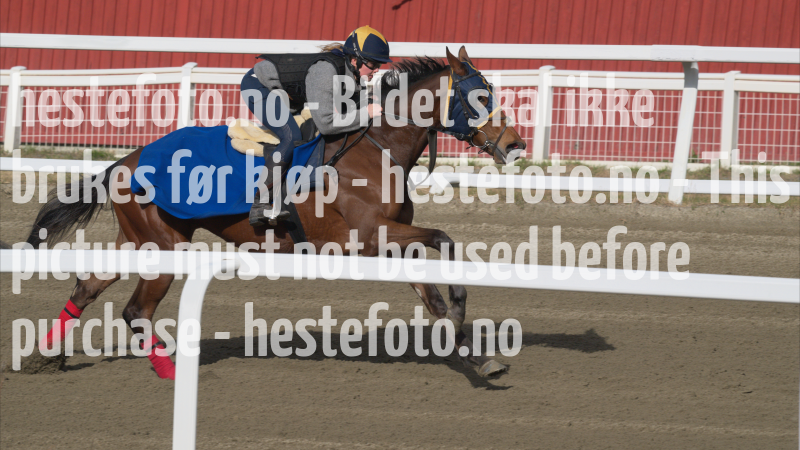 treningsdag-20230429_1.4.2