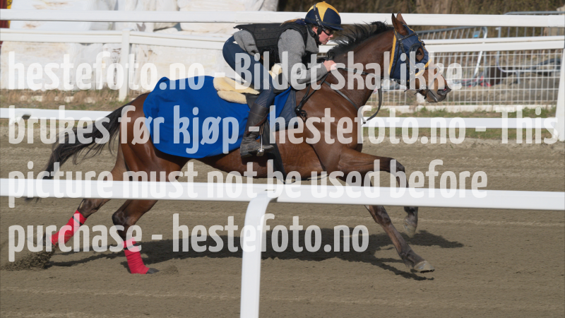 treningsdag-20230429_1.4.3