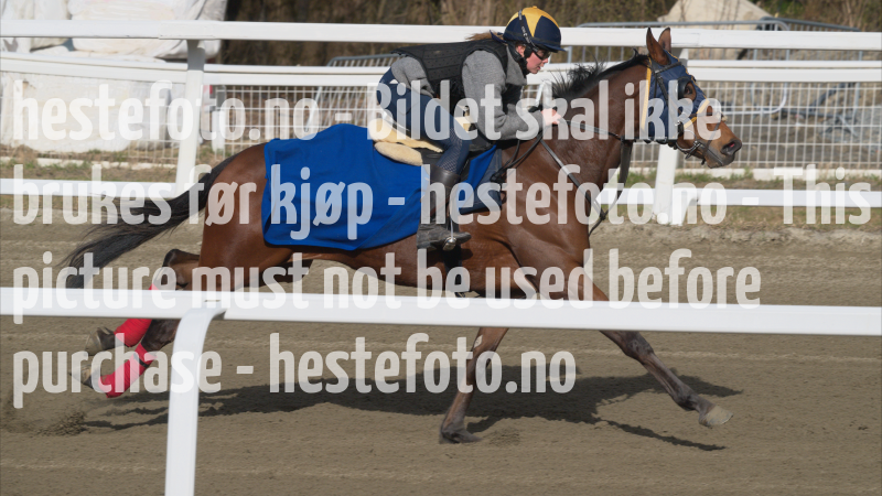 treningsdag-20230429_1.4.4