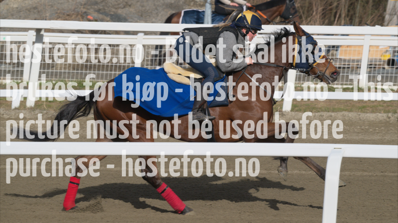treningsdag-20230429_1.4.5