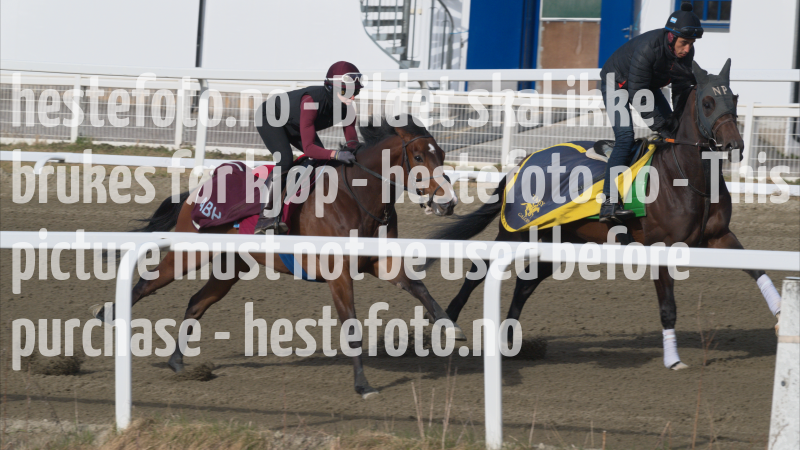 treningsdag-20230429_1.6.1