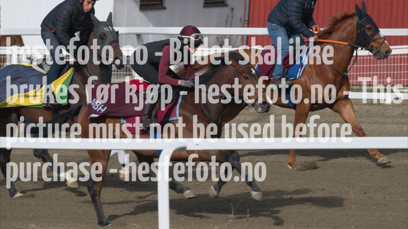 treningsdag-20230429_1.6.2