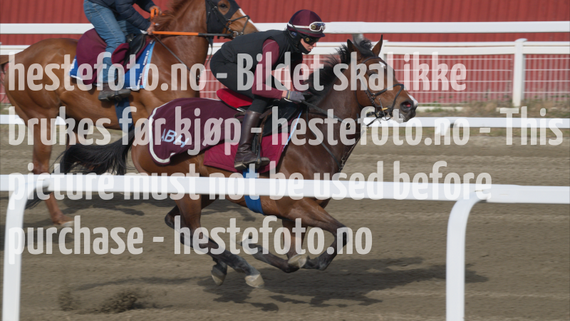 treningsdag-20230429_1.6.3