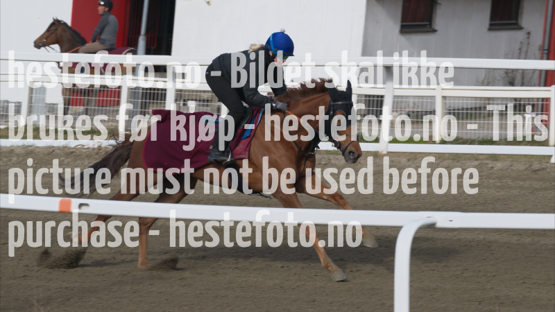 treningsdag-20230429_1.7.1