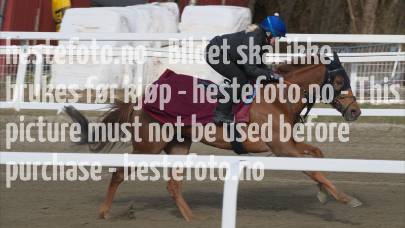treningsdag-20230429_1.7.2