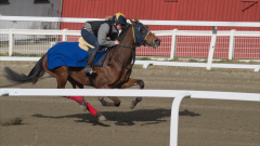 treningsdag-20230429_1.4.1