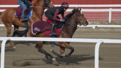 treningsdag-20230429_1.6.3