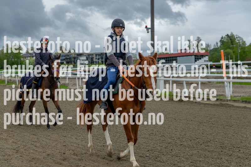 20210523-113327-EKE6047