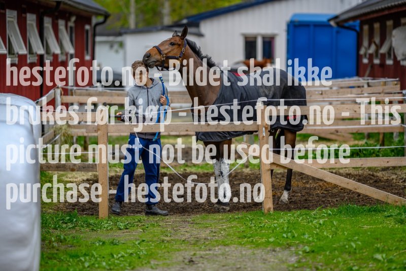 20210523-114233-DSC1844