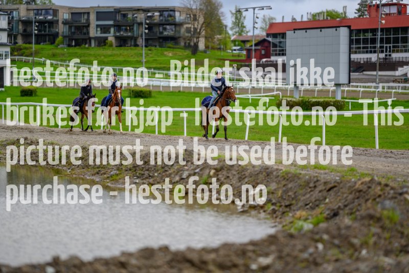 20210523-122444-DSC1878