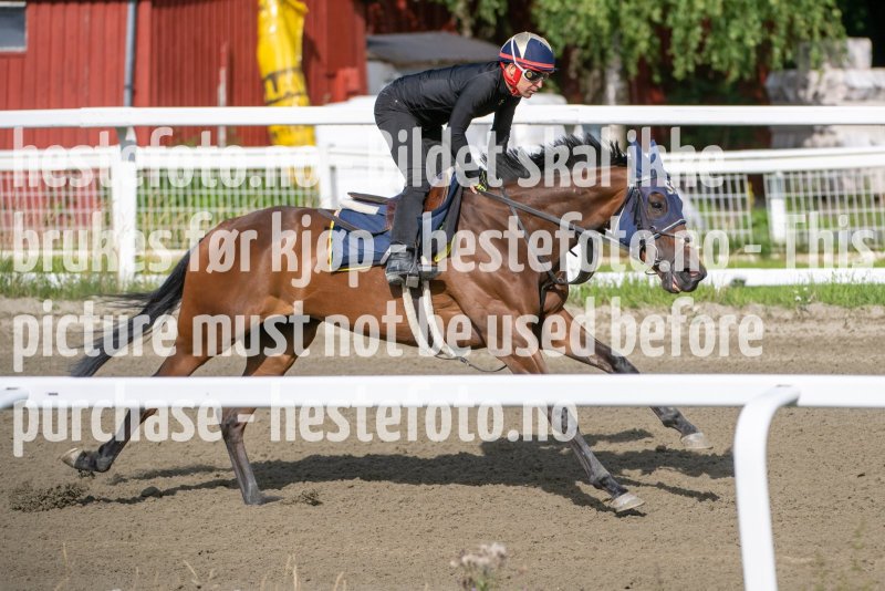 20230729-093320-DSC_3258
