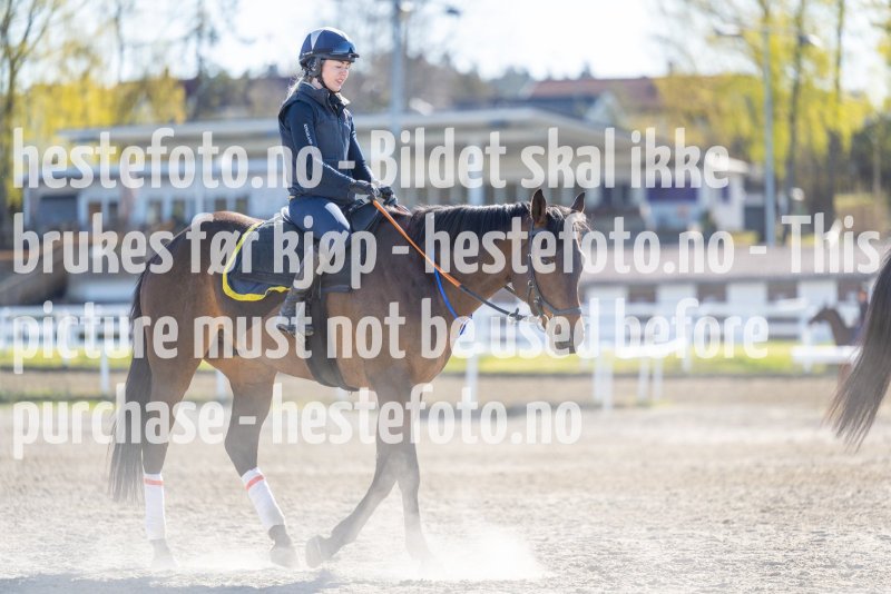 20220430-094504-DSC2712