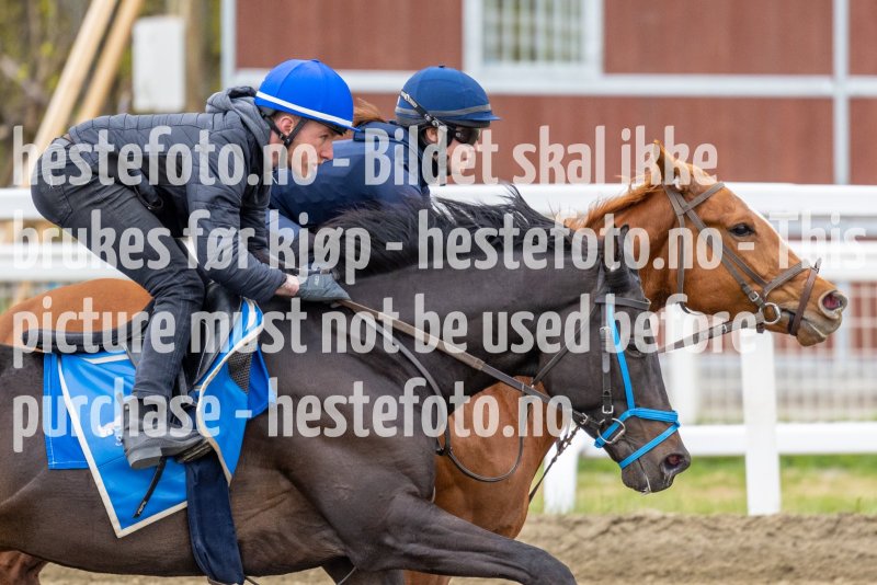 20220430-131835-DSC3096
