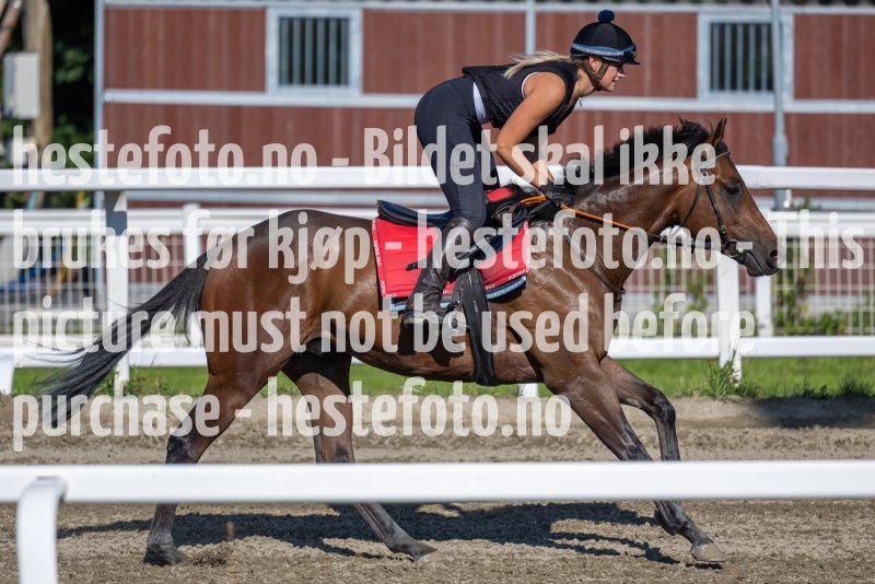 20220730-093924-DSC3970