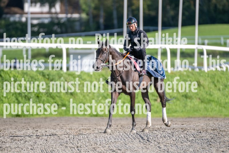 20230930-113709-DSC_6813