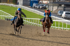 20211030-102848-DSC5380