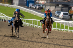20211030-102848-DSC5381