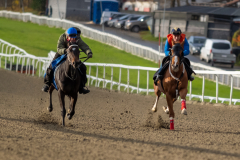 20211030-102848-DSC5382