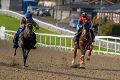 20211030-102848-DSC5385