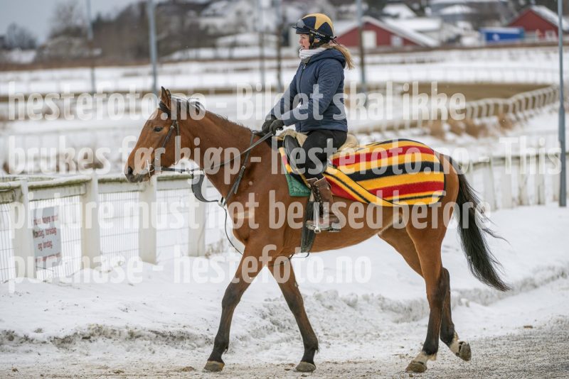 20260131-122953-DSC_0778