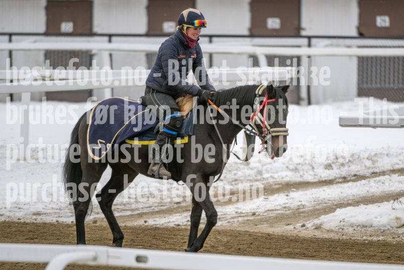 20260131-123433-DSC_0830