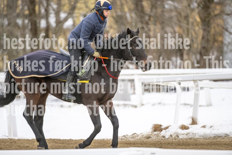 20260131-123812-DSC_1042