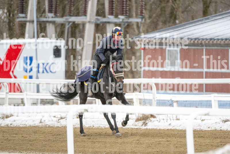 20260131-124355-DSC_1097