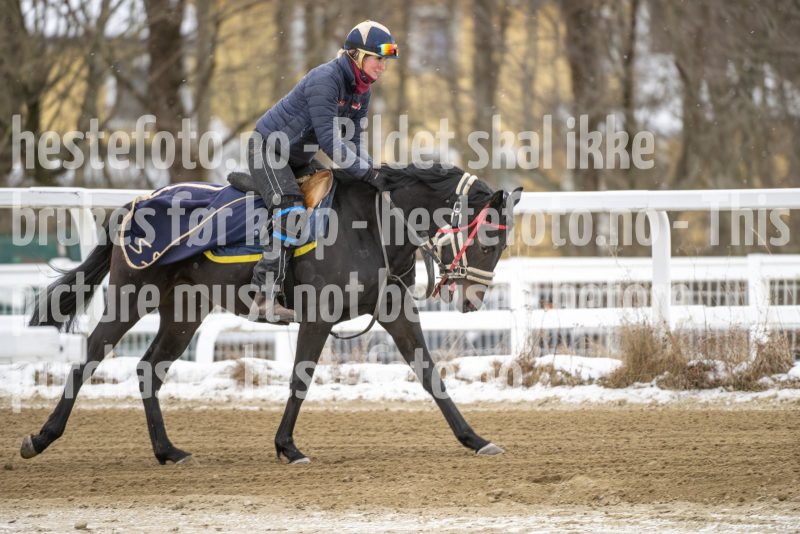 20260131-124403-DSC_1136