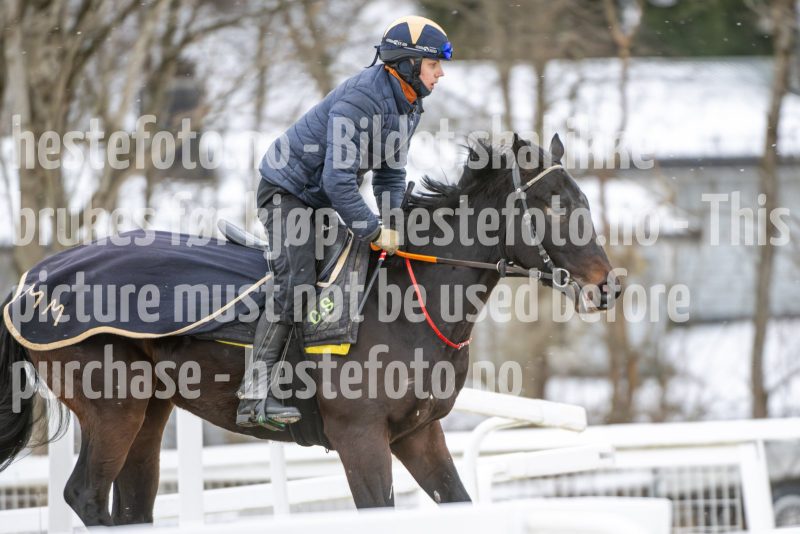20260131-124407-DSC_1173