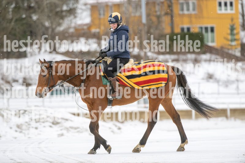 20260131-124832-DSC_1285