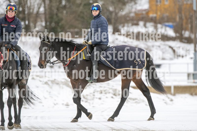 20260131-124841-DSC_1338
