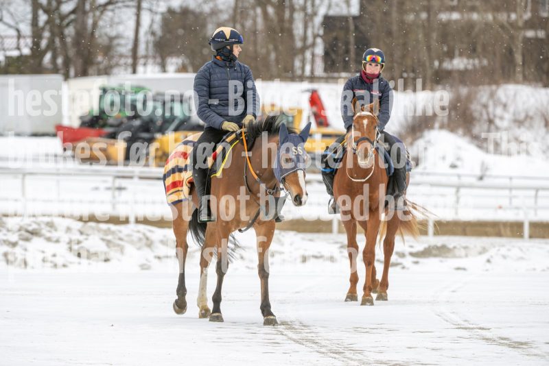 20260131-134933-DSC_1818