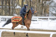 20260131-134412-DSC_1608