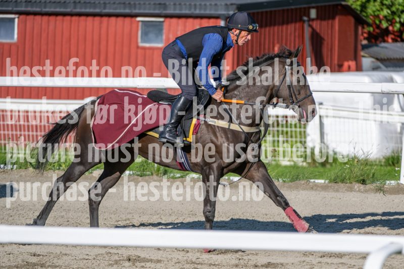 20240831-093652-DSC_9278