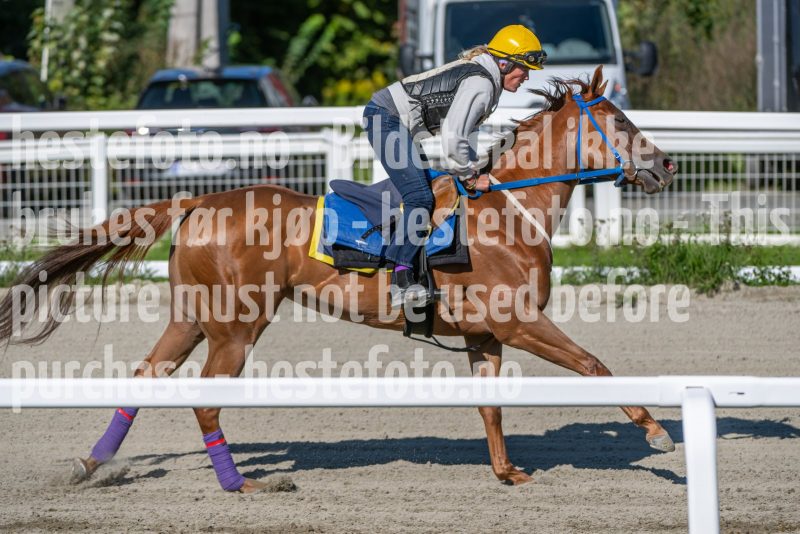 20240831-112514-DSC_9981