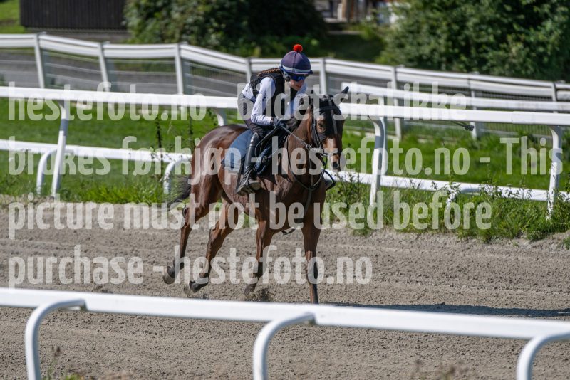20240831-122224-DSC_0757