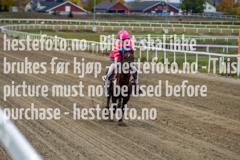 20231019-173253-DSC_3040