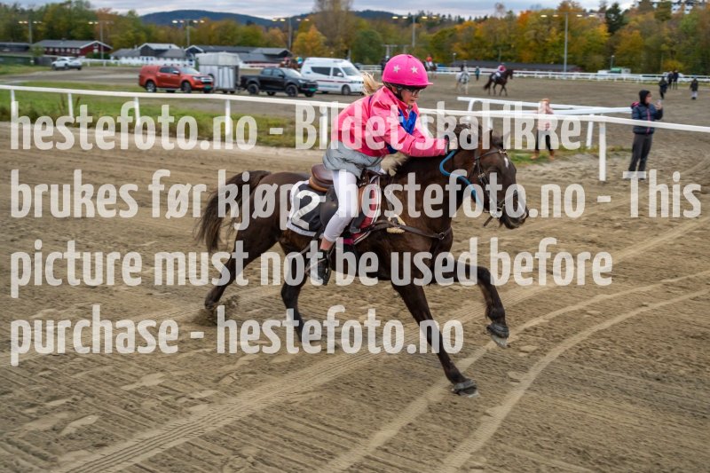 20231019-173255-DSC_3052