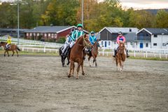 20231019-170852-DSC_2656