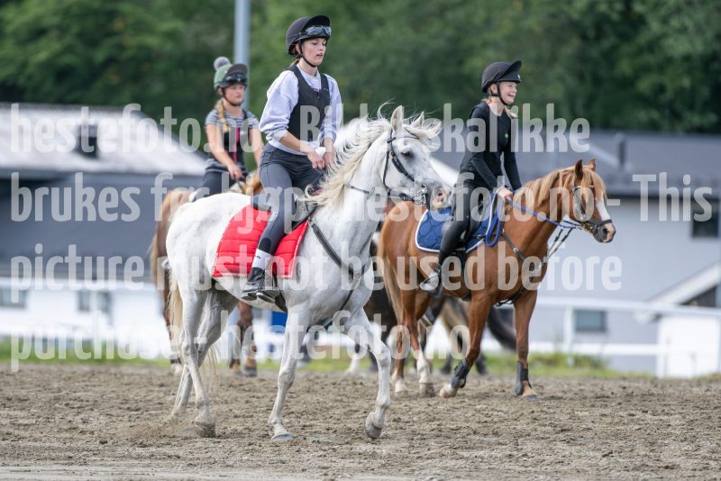 20240817-132234-DSC_1005