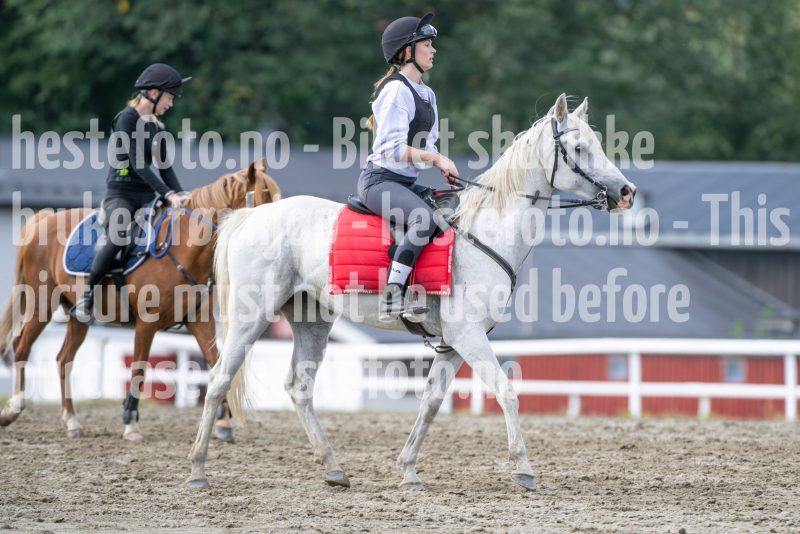 20240817-132236-DSC_1016