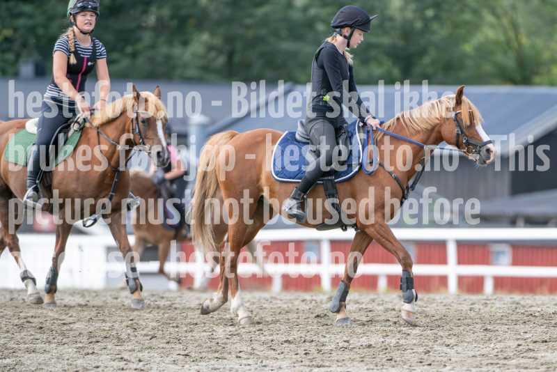 20240817-132238-DSC_1018